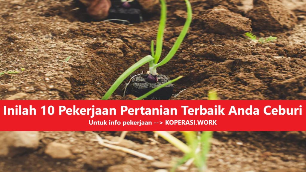 Inilah 10 Pekerjaan Pertanian Terbaik Anda Ceburi